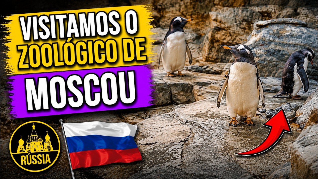 🇷🇺 Fomos visitar o Zoológico de Moscou! Veja como foi 🐅