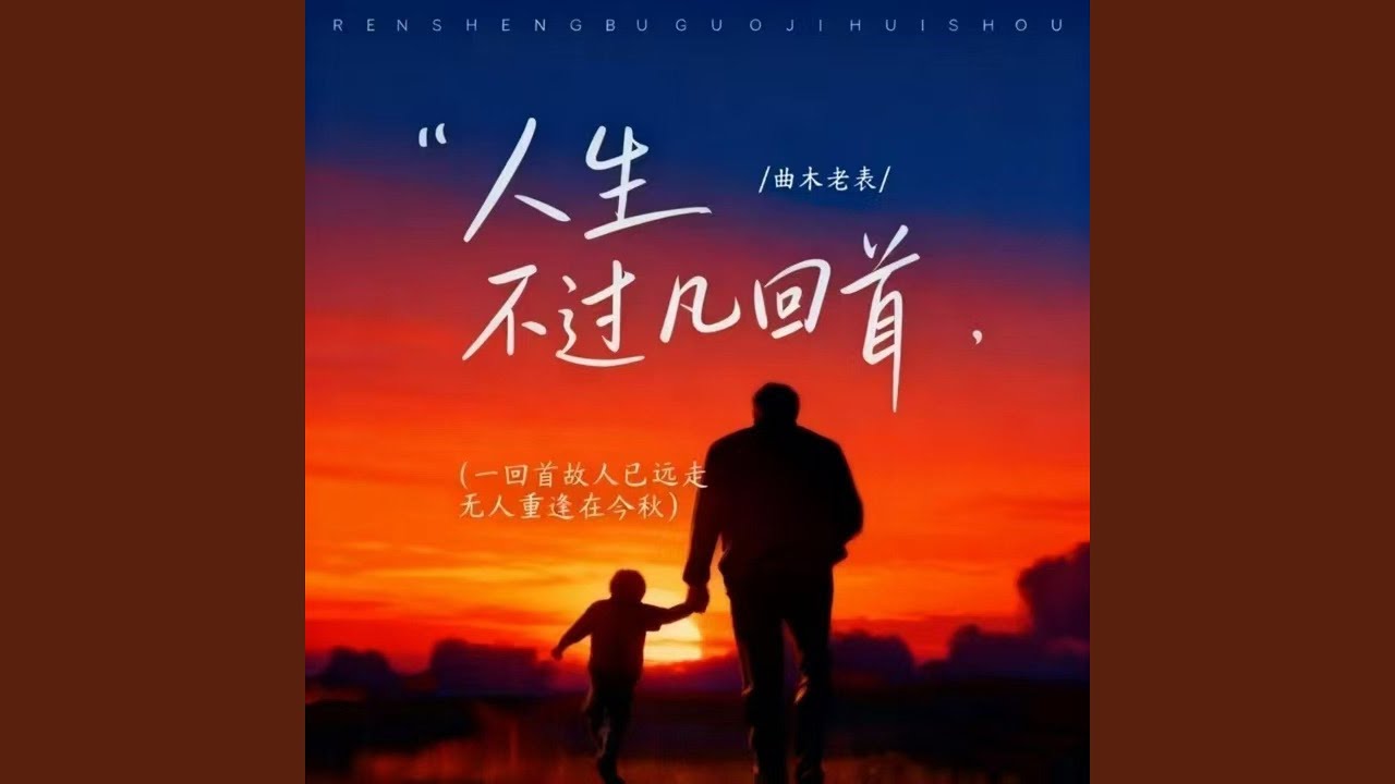 人生不过几回首 (DJ阿尼版)