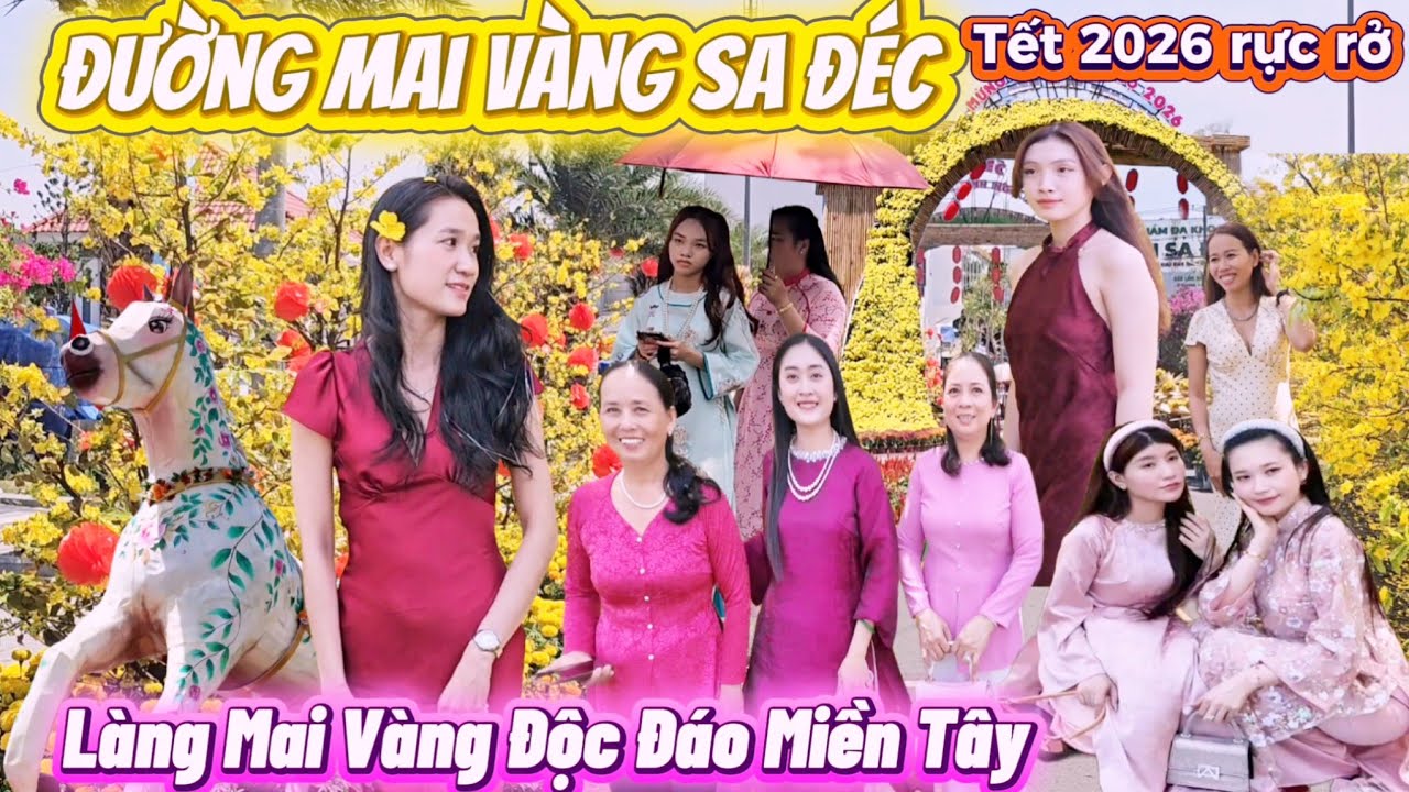 Đường Hoa Mai Rực Rở, ký Ức ông bà còn nhớ mãi, Đầu Năm Rộn Ràng Đón Lộc Tết 2026 