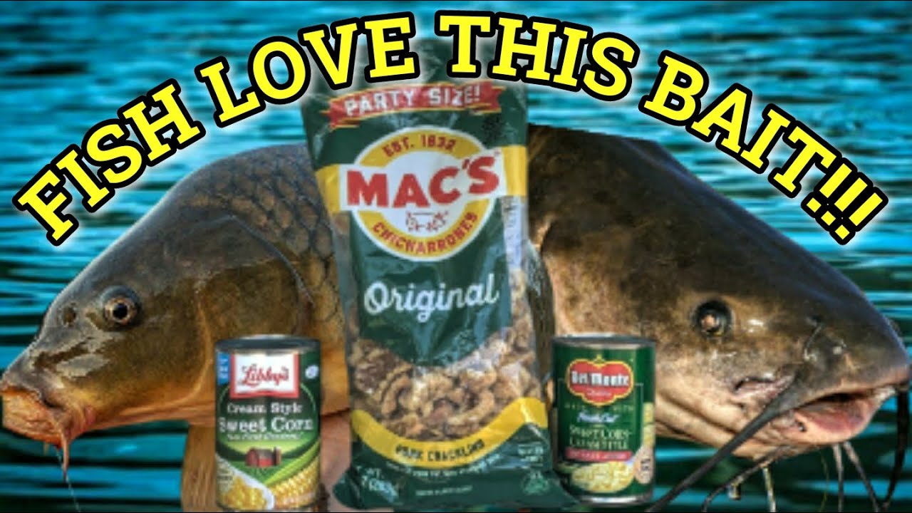 This Homemade Bait Works Better Than Regular Corn!