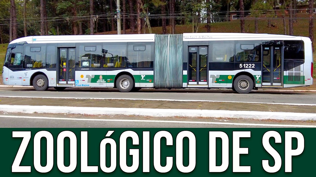 Avenida Miguel Estéfano (Zoológico de São Paulo) - Movimentação de Ônibus #467