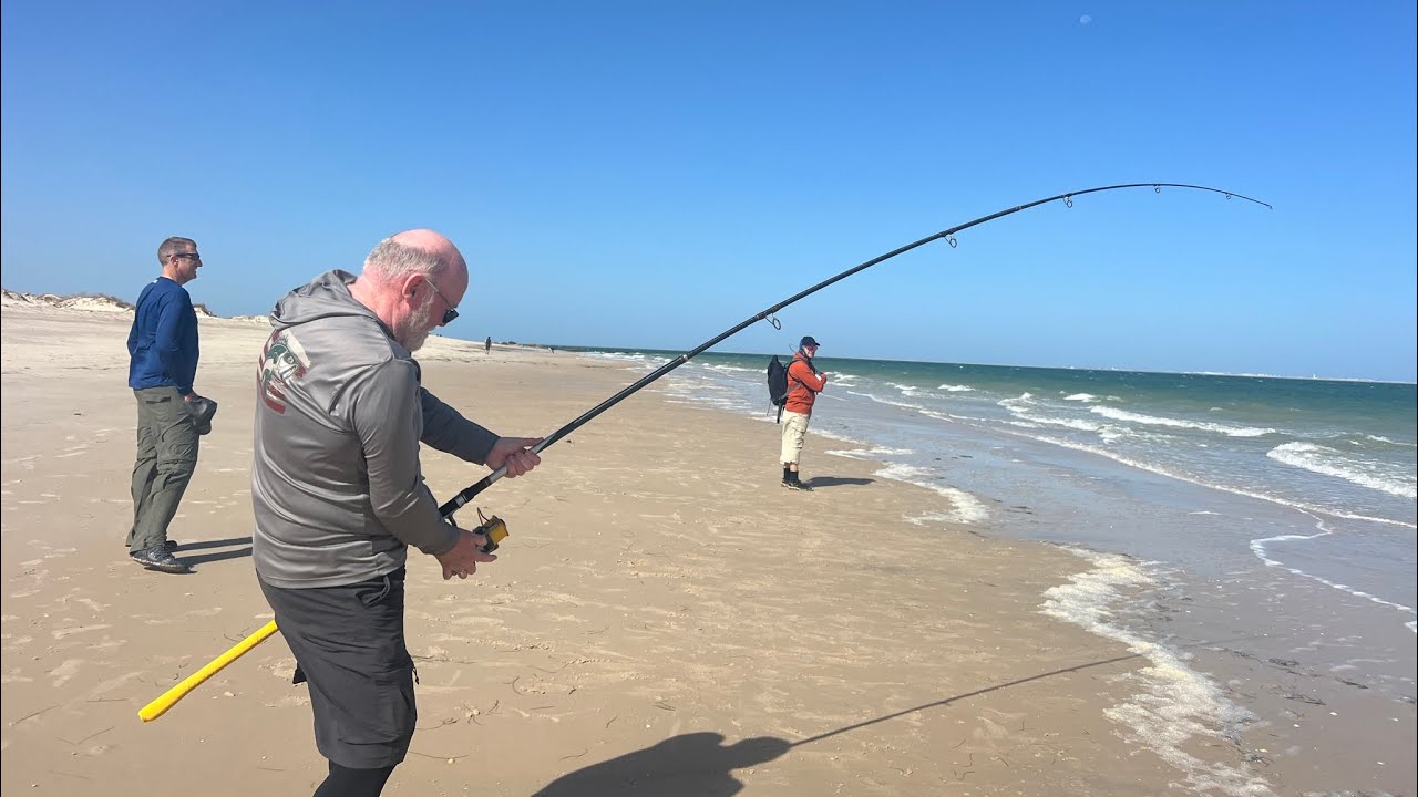 Massive Bullhead Ray Caught and released by Kevan Lee while shore fishing in Morocco