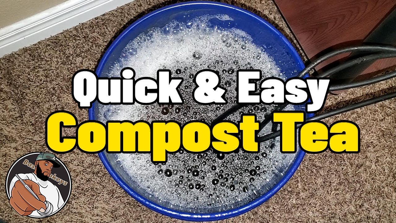 Quick & Easy Compost Tea for Flowering