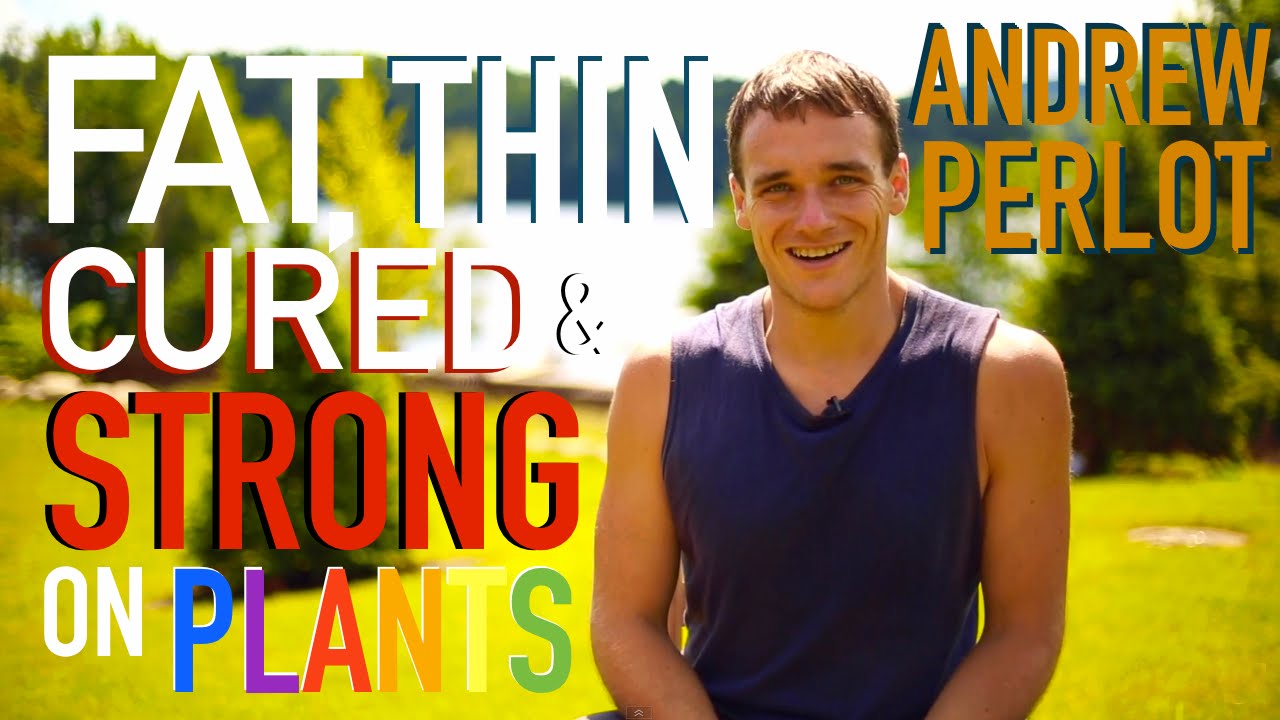 From Fat & Sick to Healthy & Strong - Andrew Perlot