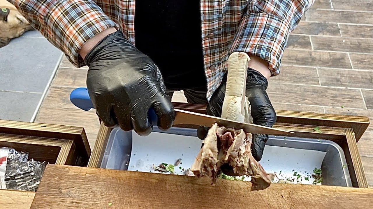 так вкусно! Сэндвич с бараньей головой популярен в Турции | Турецкая уличная еда