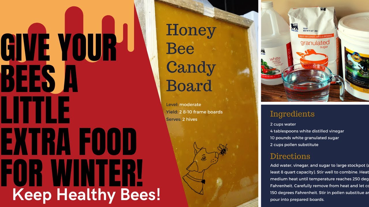 Candy board food for bees | Winter Wisdom