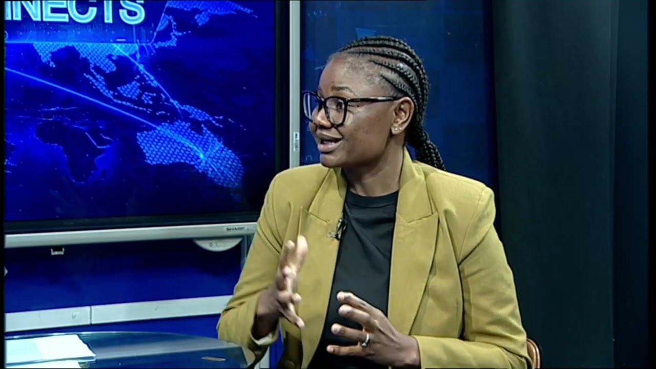 NAMIBIA CONNECTS | NCRST ESTABLISHES NATIONAL AI EXPERT TEAM - nbc