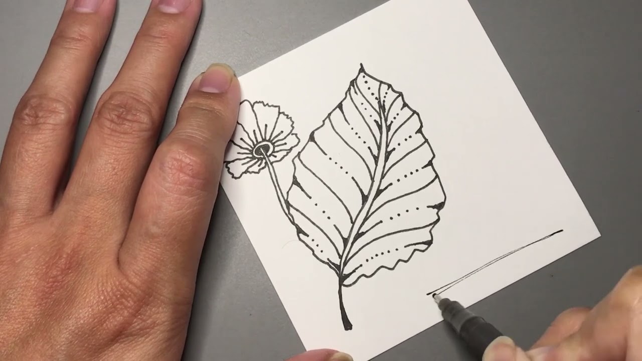 初學者的纏繞畫-一支獨秀-葉子