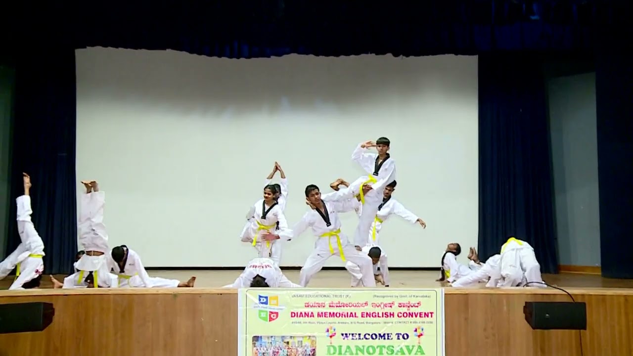 School Annual Day 2025-26. Takewondo (Karate) by High school Students. #school #takewondo #karate