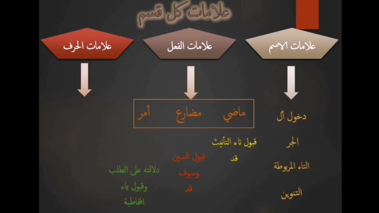 (٤) علامات الاسم والفعل والحرف & أولى إعدادي أزهر.