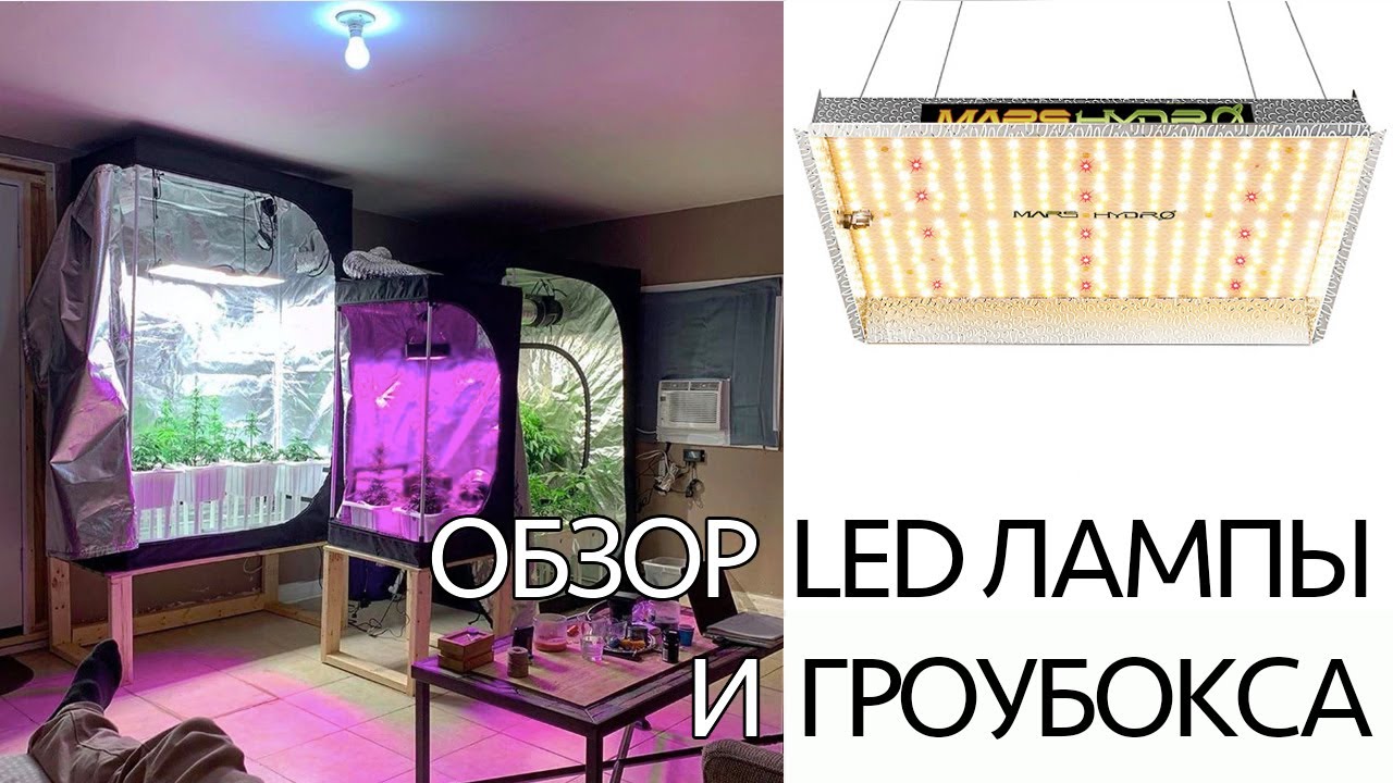 Обзор LED-лампы TS-1000 от фирмы Mars Hydro и гроубокса | Фитолампа Марс Гидро | Что такое гроубокс?