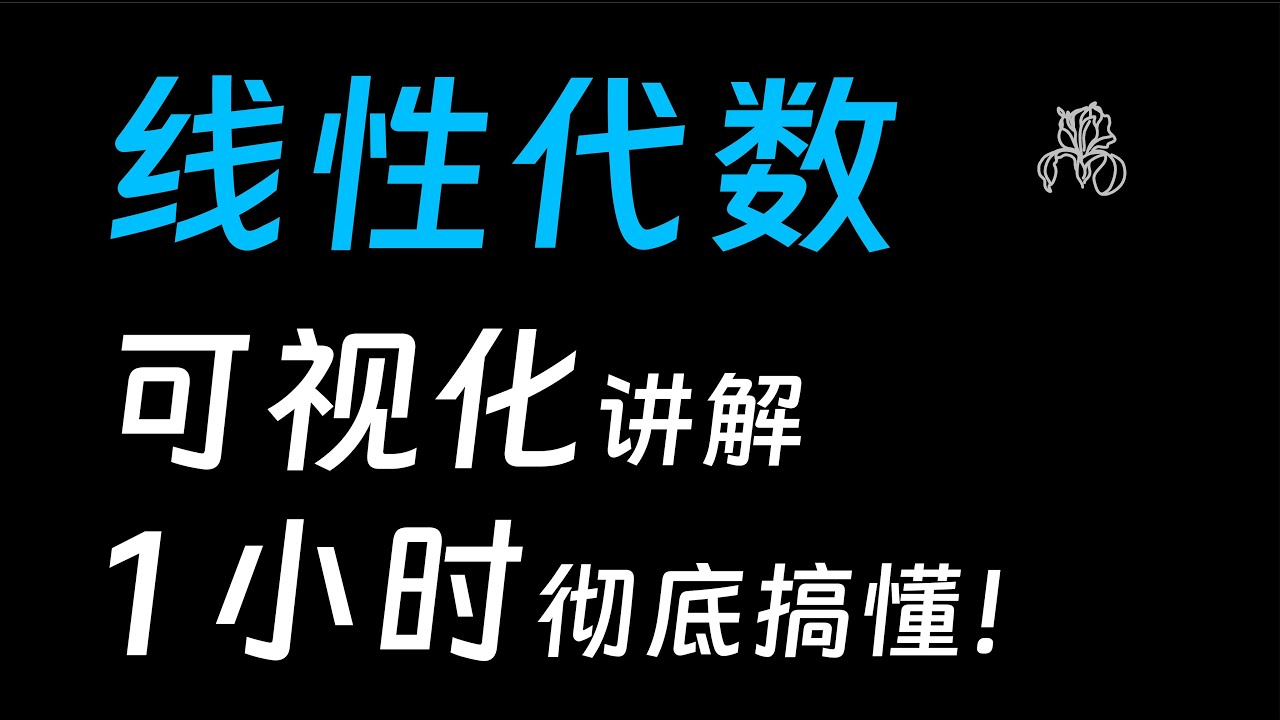 线性代数可视化讲解 | 1小时彻底搞懂！ | 数学不难：线性代数