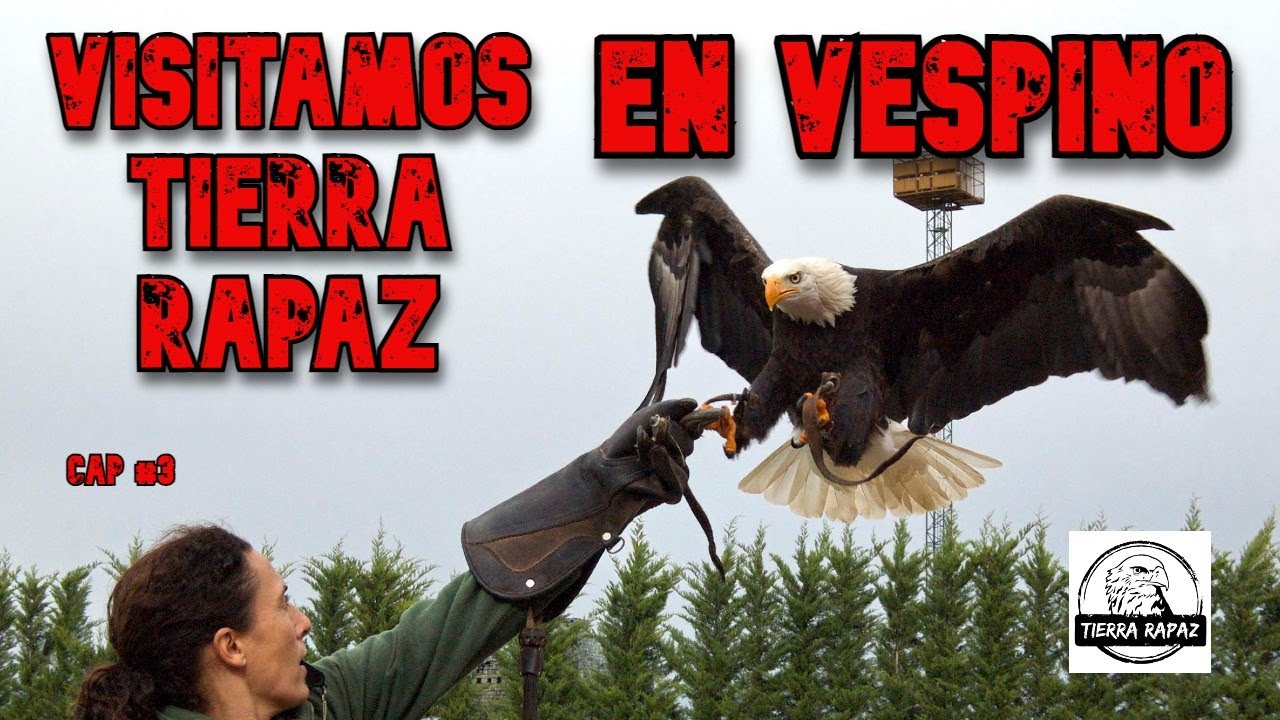 #3 Ultima ruta, Visitamos Tierra Rapaz con @pedroTOWERS. #vespino  Cap #3