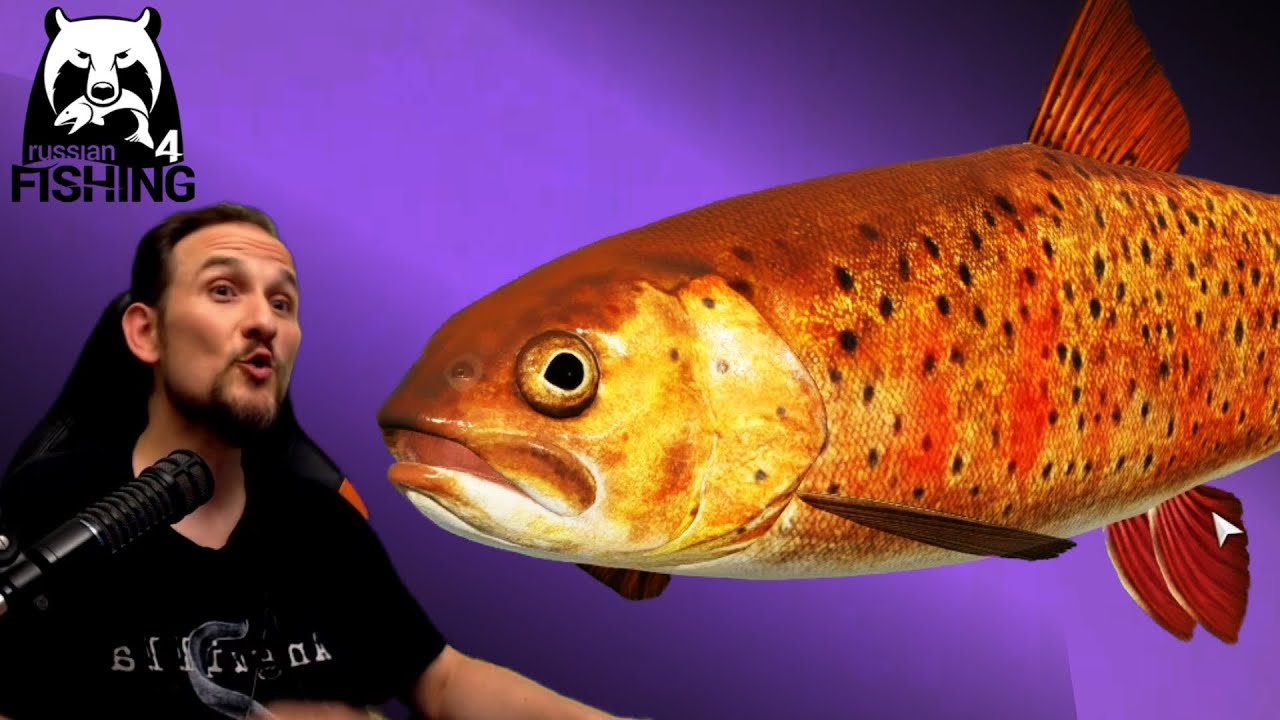 Russian Fishing 4 - Jama - Viele Köder - Ein Spot!