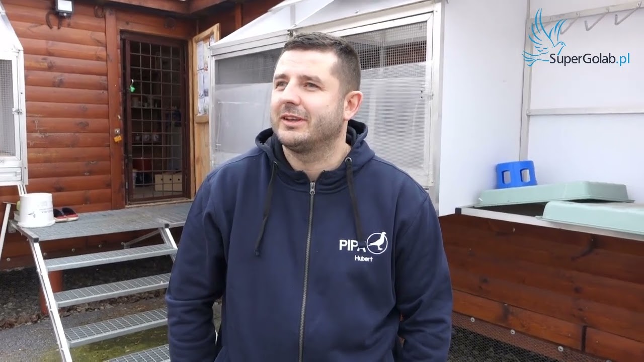 Hubert Ośko-  specjalista w lotowaniu na wspólnych gołębnikach
