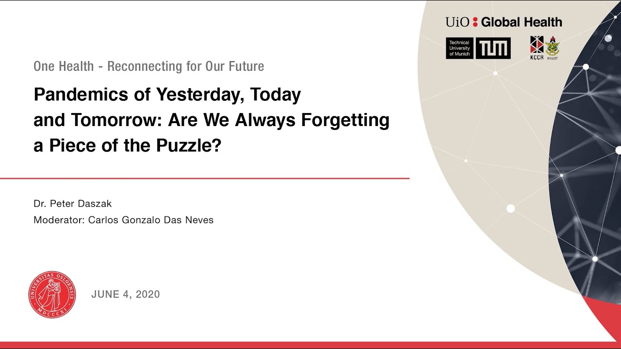 Pandemics of Yesterday, Today and Tomorrow: Are We Always Forgetting a Piece of the Puzzle?
