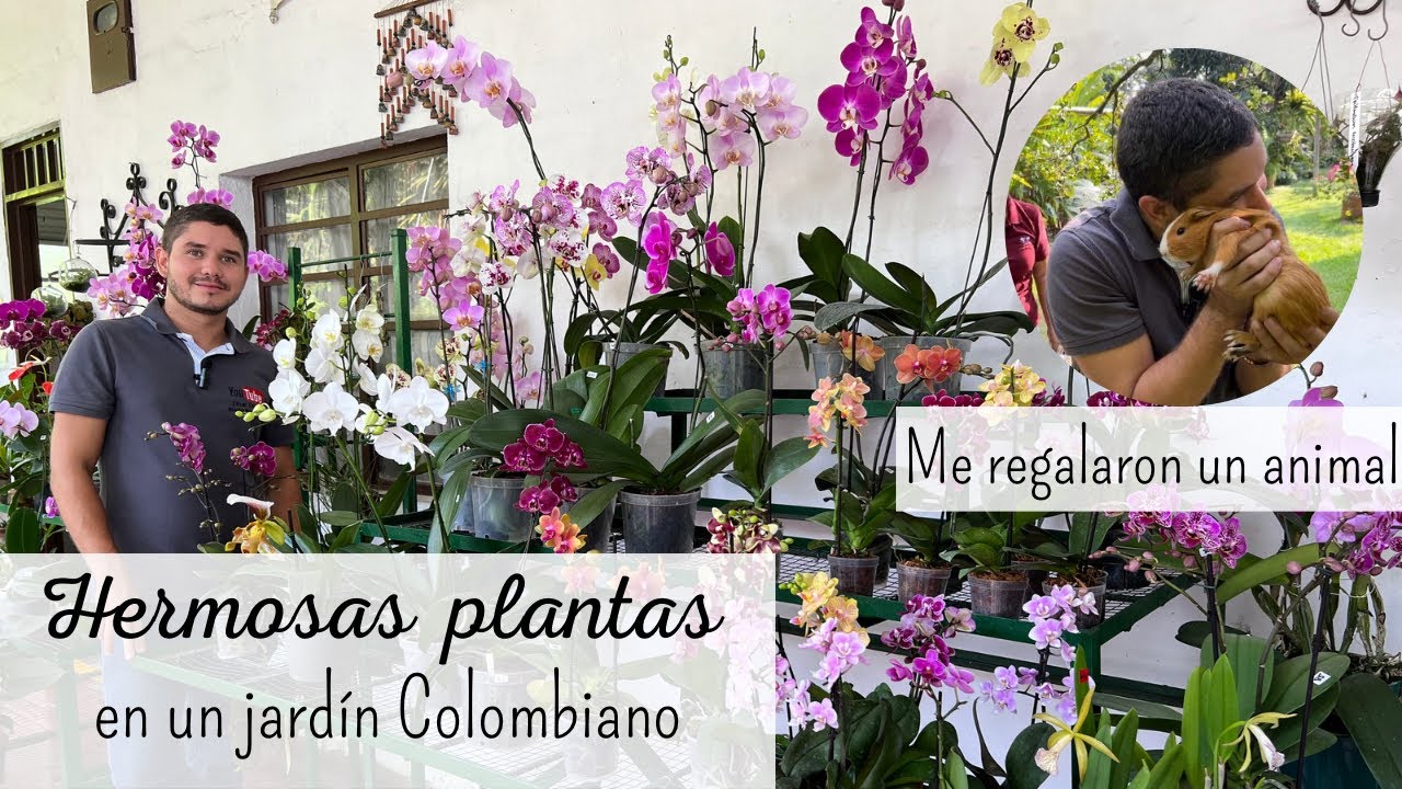 Impresionante JARDÍN COLOMBIANO  lleno de flores y de plantas hermosas | Orquivalle