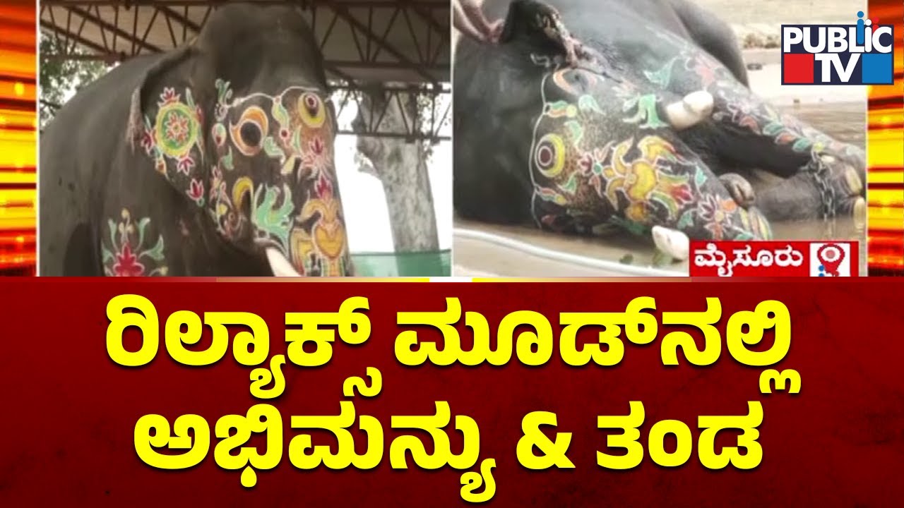 Dasara Elephants In Relax Mood After Grand Jamboo Savari | Public TV