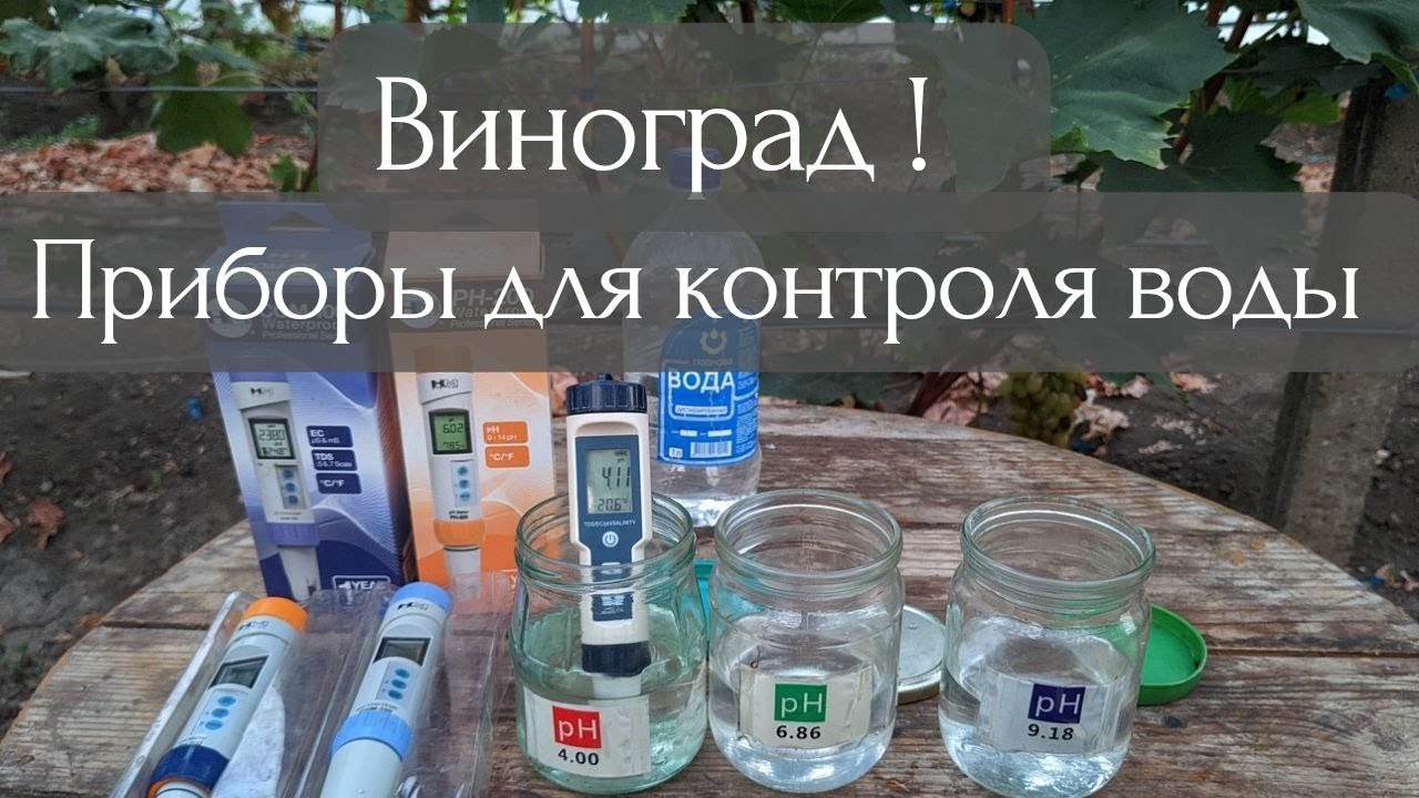 Твой виноград погибнет без этих приборов !  Калибровка pH meter с Китая