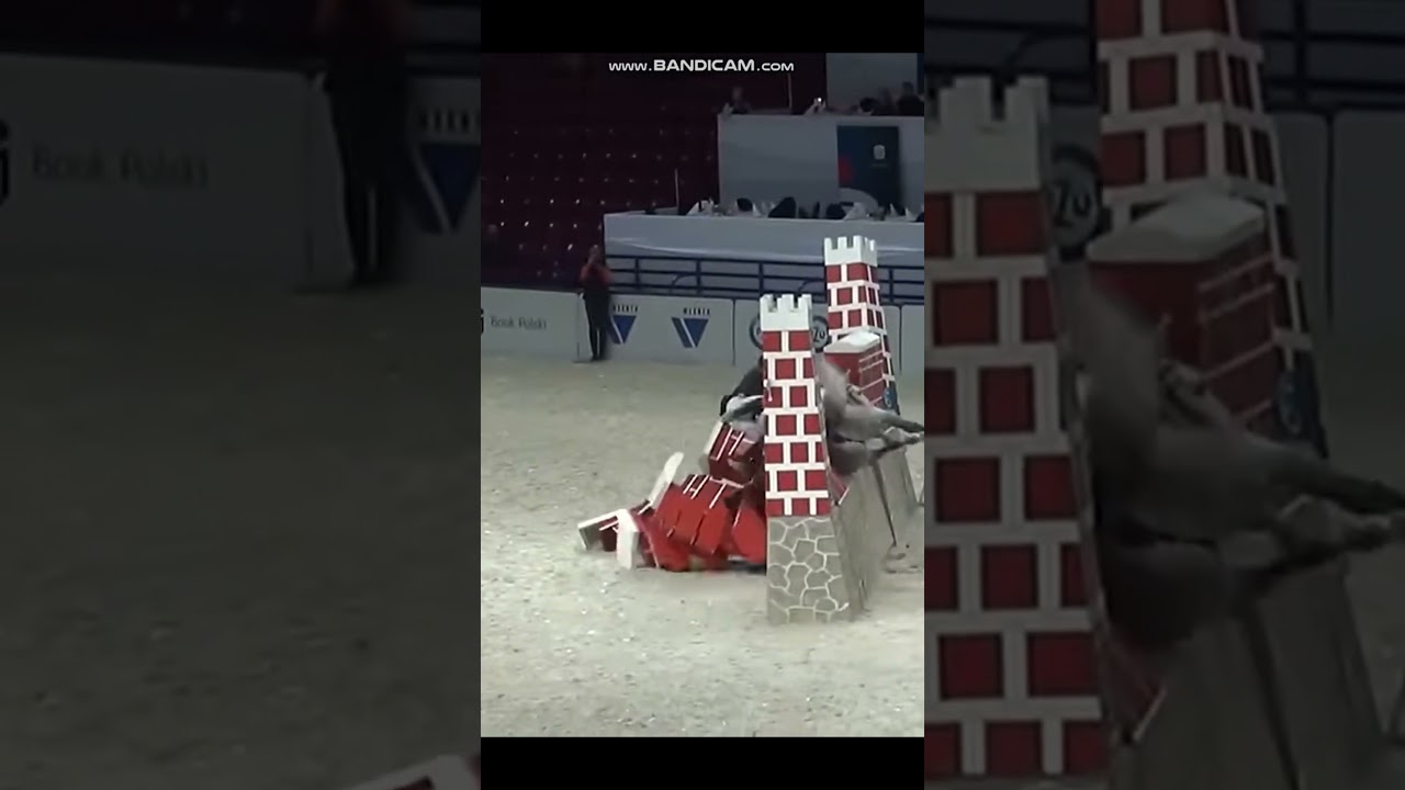 Jumping Over 2 meters is just insane- do u agree?? #subscribe #horse #equestrain  #equestrianlove