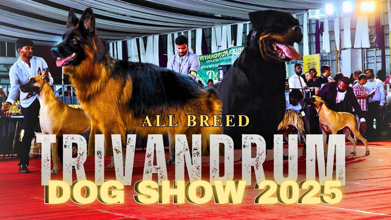 ALL INDIA DOG SHOW 2025| All Breeds & Competitions|TVM KENNEL CLUB