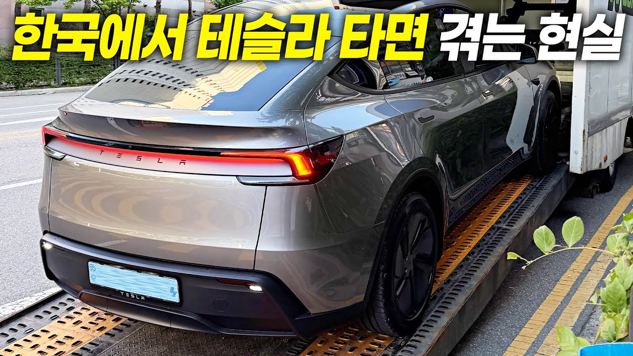 한국에서 테슬라 타면 겪게되는 현실.. 자신 없으면 그냥 사지 마세요