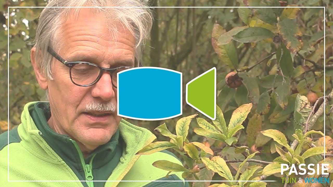 De proeftuin van Marc Geens