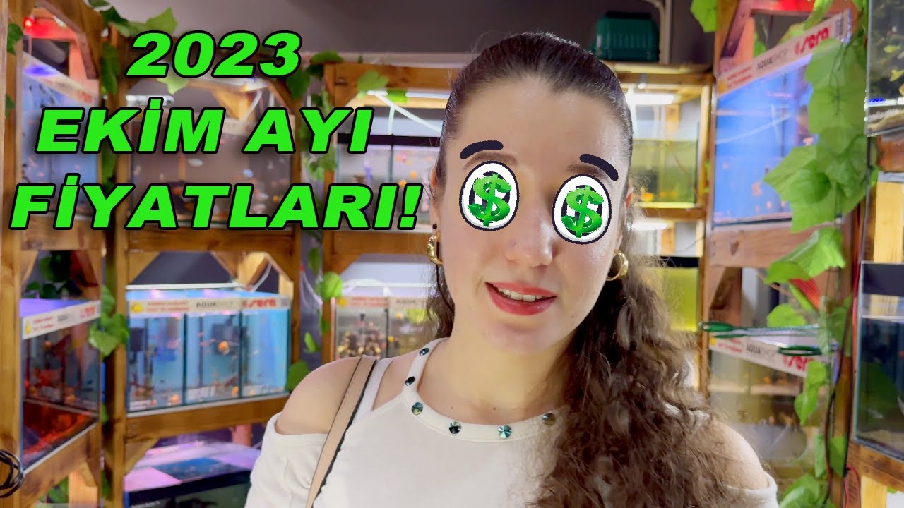 Bursa Akvaryumcular l Balık Fiyatları