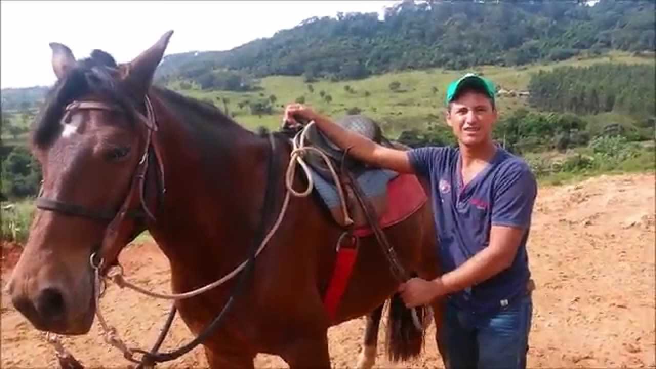 Lado correto de montar no cavalo
