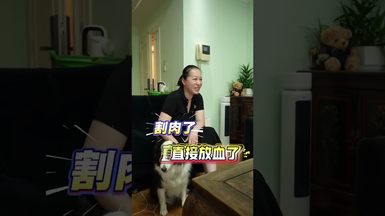 又是一个卖房出国的房东姐姐