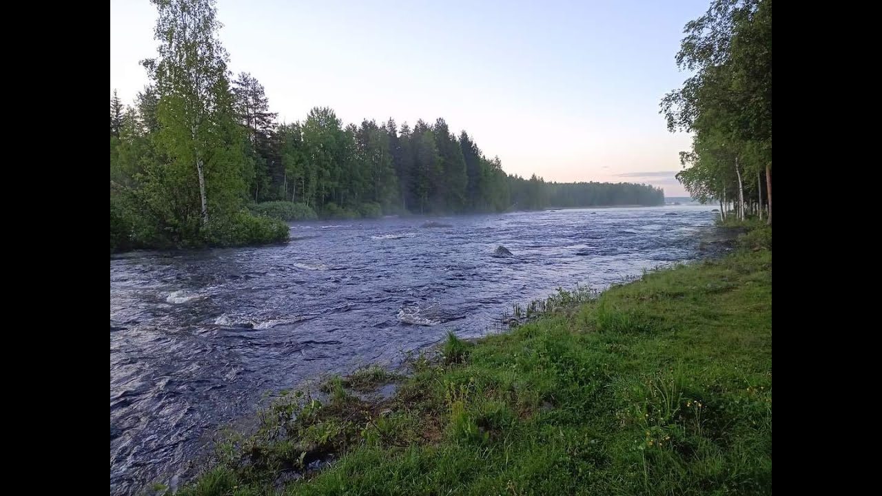 Streamer fishing session at Äyskoski rapids / Streamerkalastussessio Äyskoskella