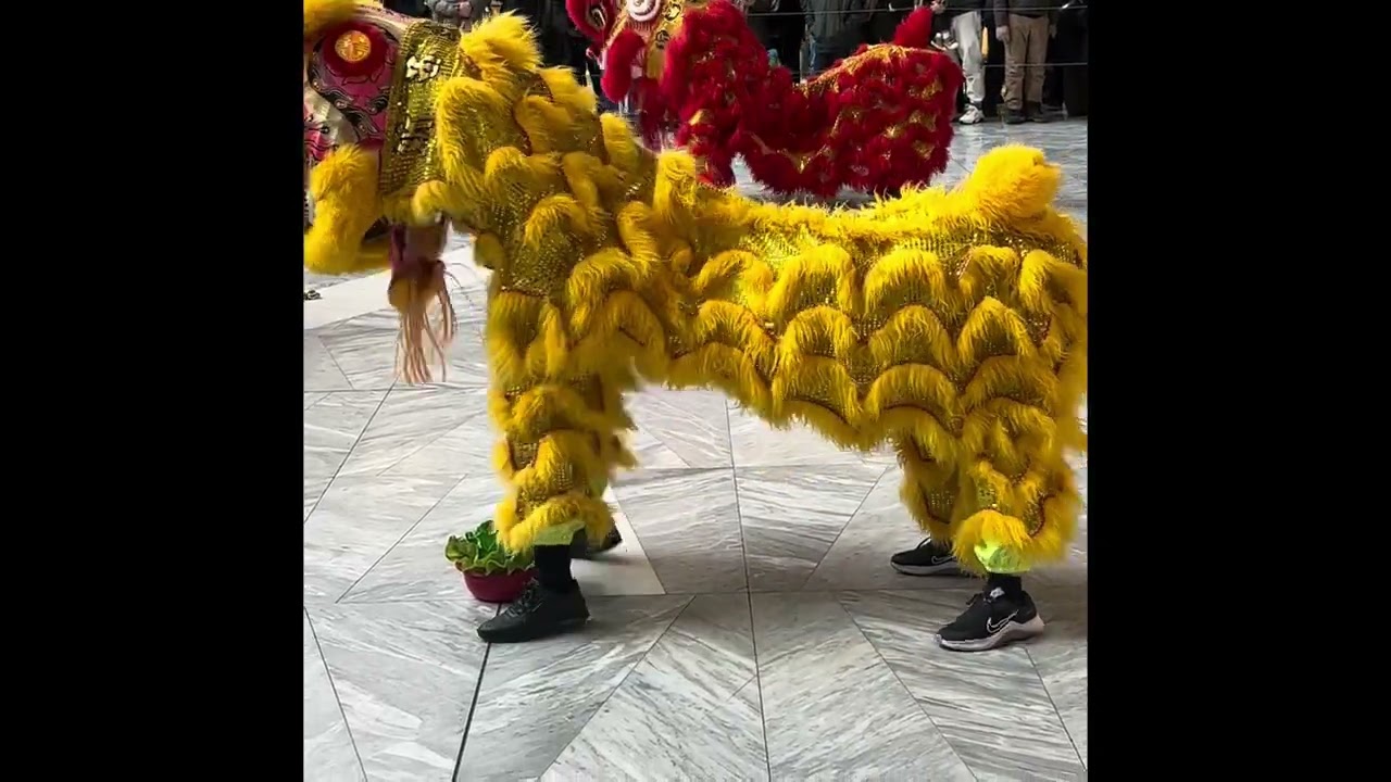Lunar New Year Season Begins NYC