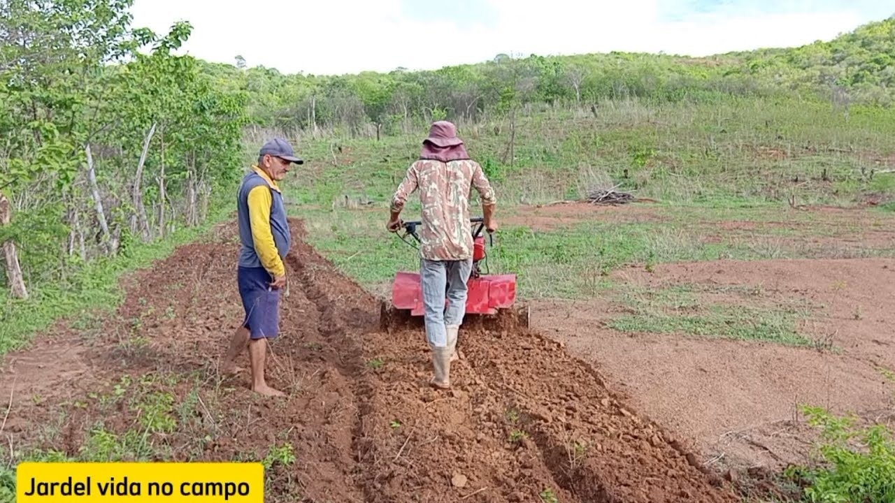 eu e meu pai preparando a terra  plantando milho e feijão.. micro trator nota 1000 👍🤠