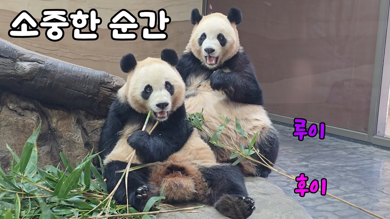 [ep.749]함께하는 평범한 일상이 소중해지는 순간들♡