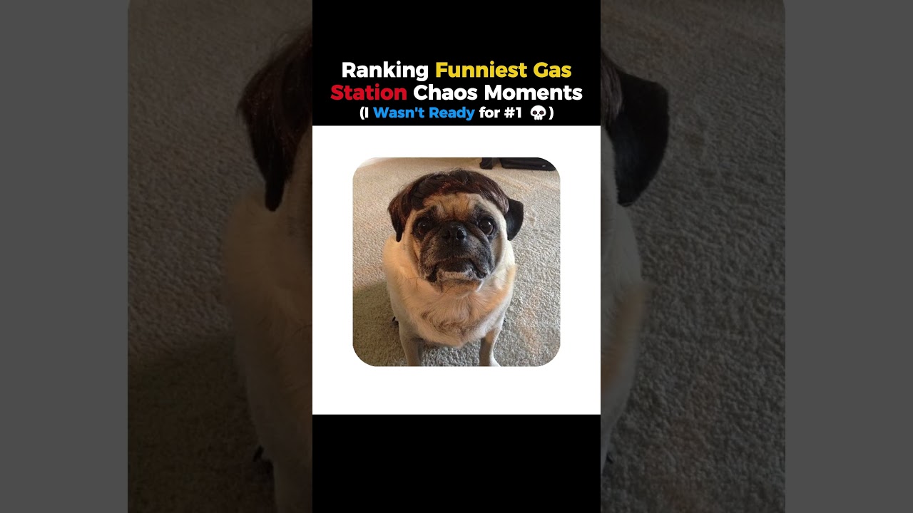 Ranking the Funniest Gas Station Chaos Moments 😂 #ranking
