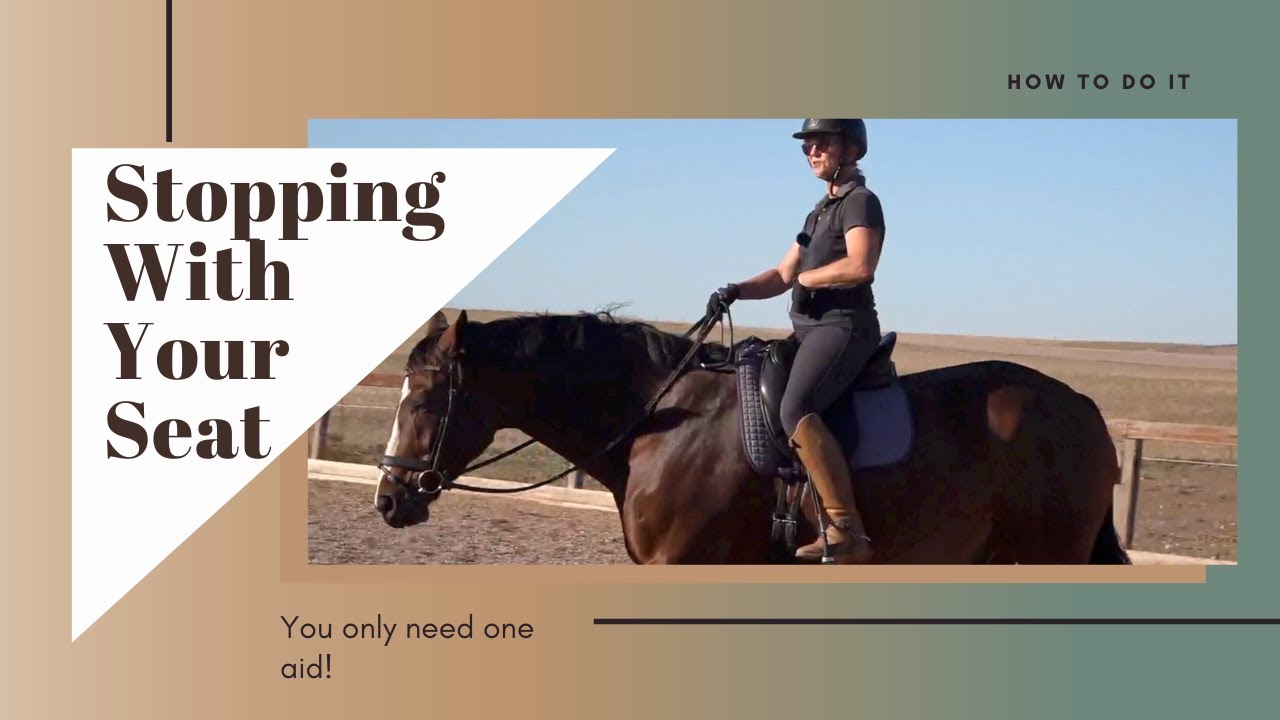 Stopping A Horse With Your Seat