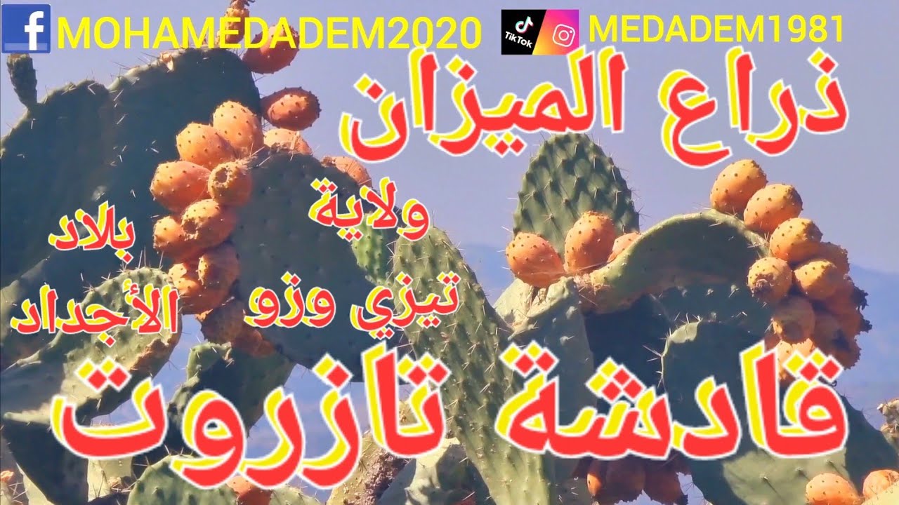 قادشة تازروت ذراع الميزان تيزي وزو،الجمال و الراحة النفسية و الحنين إلى أرض الأجداد رحمة الله عليهم.