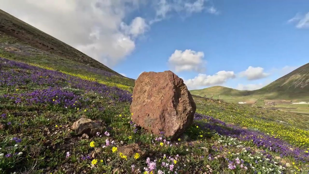 Volcanic Rock in Flower Valley (4K)