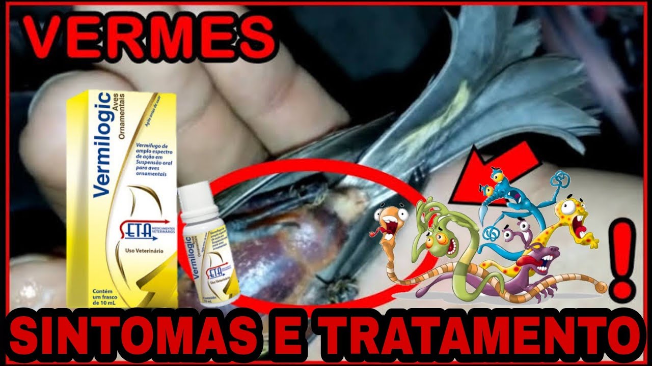 PÁSSAROS COM VERMES. SINTOMAS E TRATAMENTO!!!