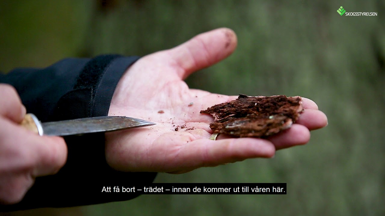 Hitta angreppen från marken och luften