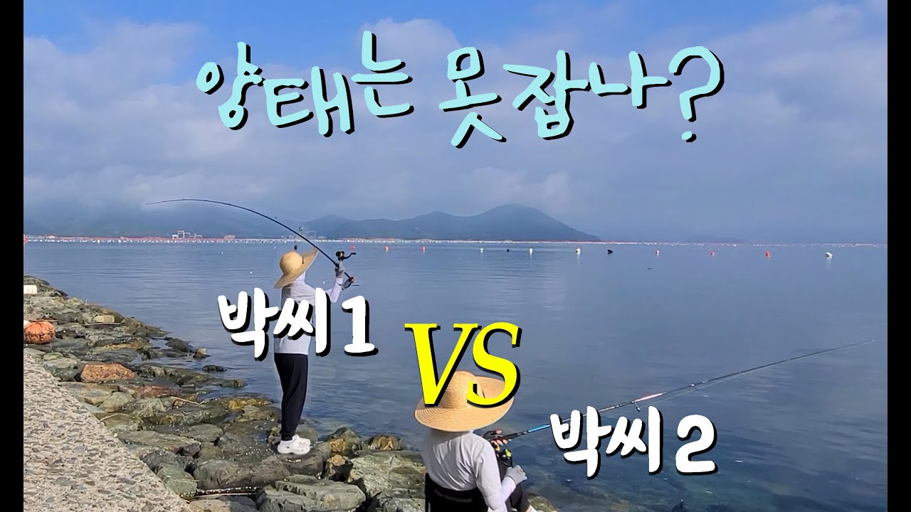 용치, 보리멸은 이제 그만! 하지만 얘들만 올라오네(양태는 못잡는 건가?)