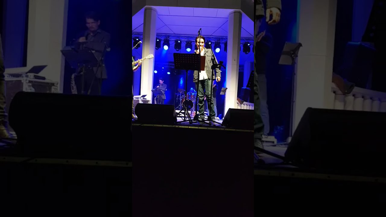 Goran Višnjić singing Zelenu granu s tugom žuta voća at BOK Alfa Jukebox in Bjelovar 30.04.2025.