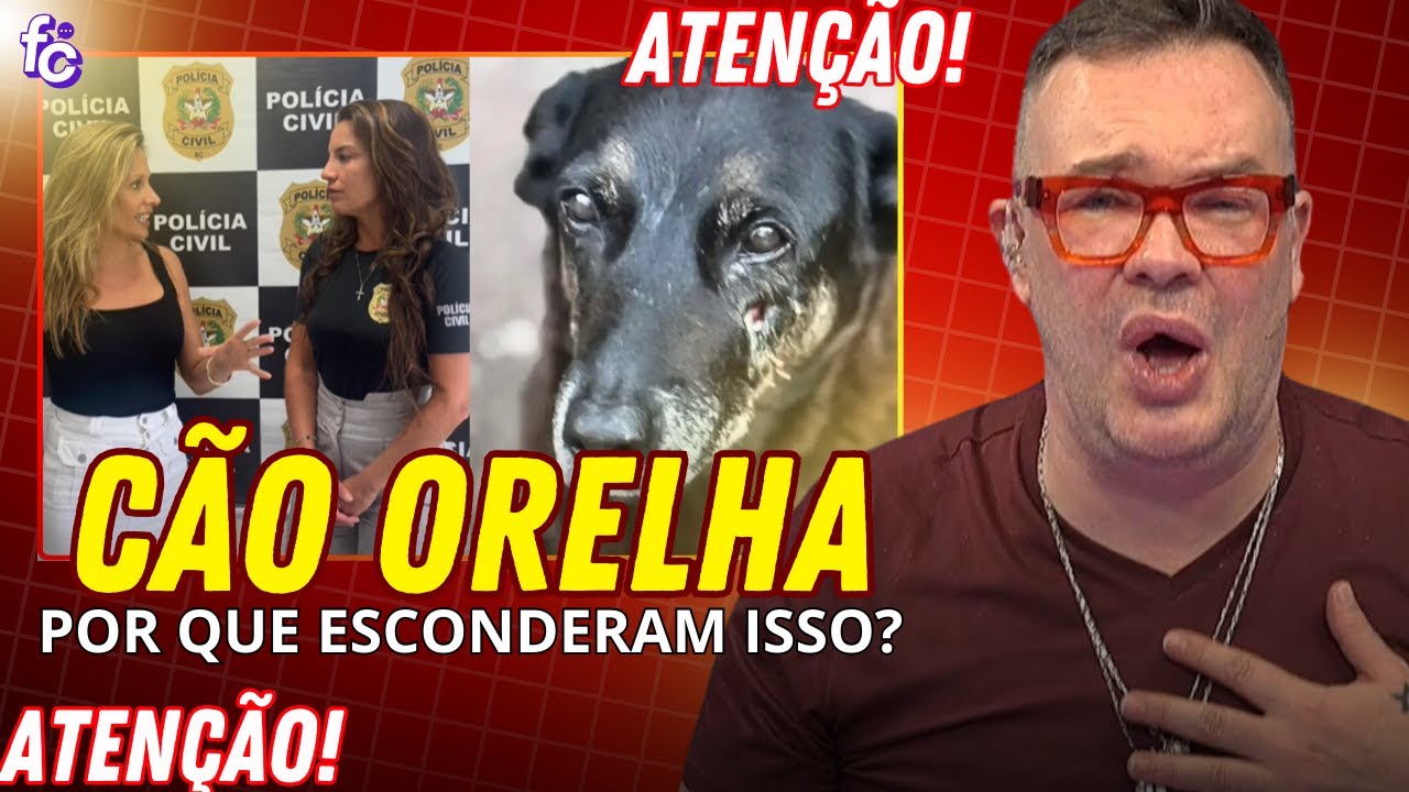 Fantástico é acusado de ABRIR PANO no caso do cão Orelha e revolta o público