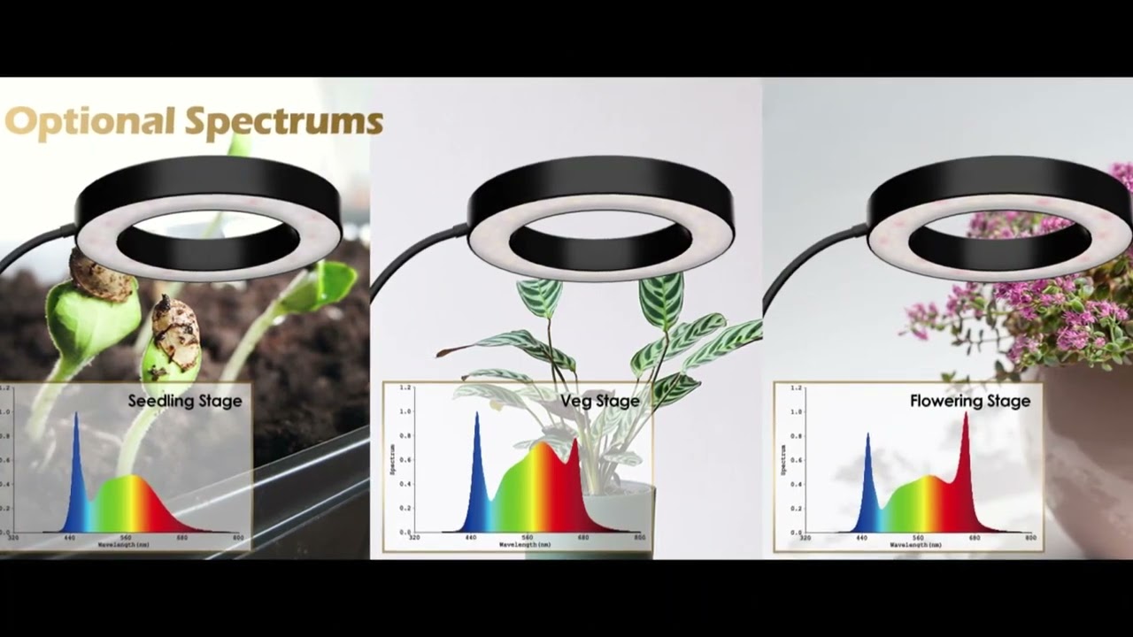 GLOWRIUM Grow Lights for Indoor Plants/20W Full Spectrum LED Grow Light @Suzette's 