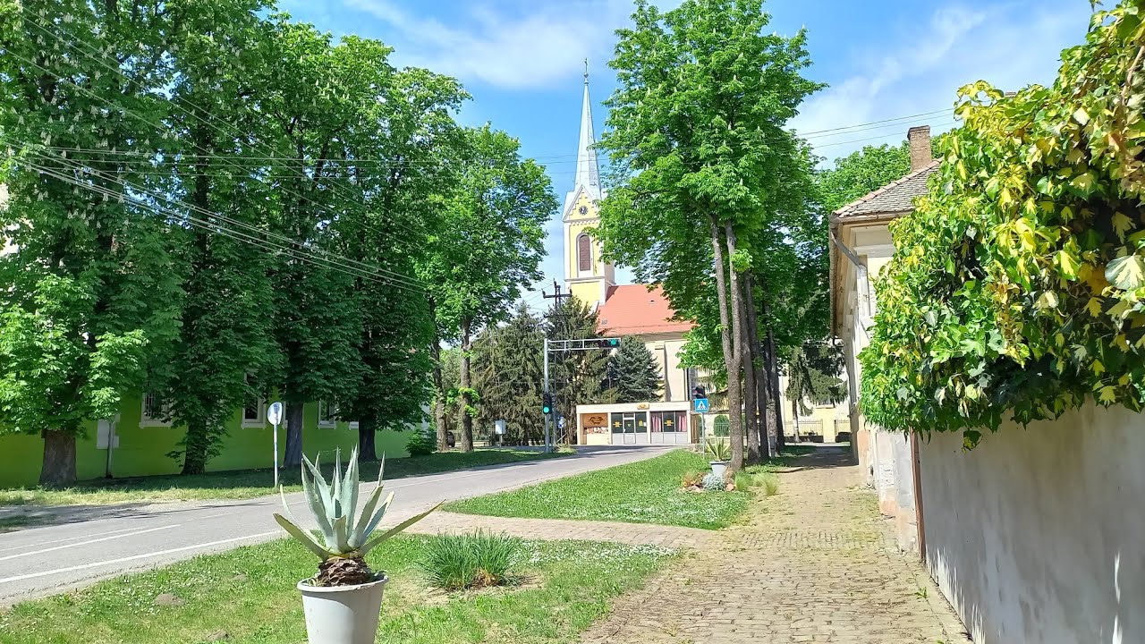 Сербия. Село Телечка. #домавсербии  #сербия