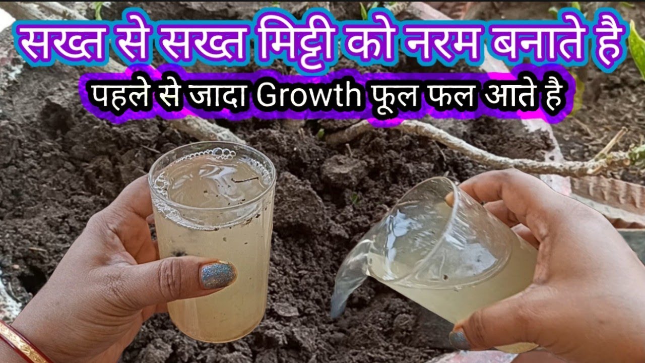 🔴ये घरेलू खाद से जादा Growth फूल आते है,सख्त मिट्टी को नरम बनाते हैHomemade fertilizer for flowering