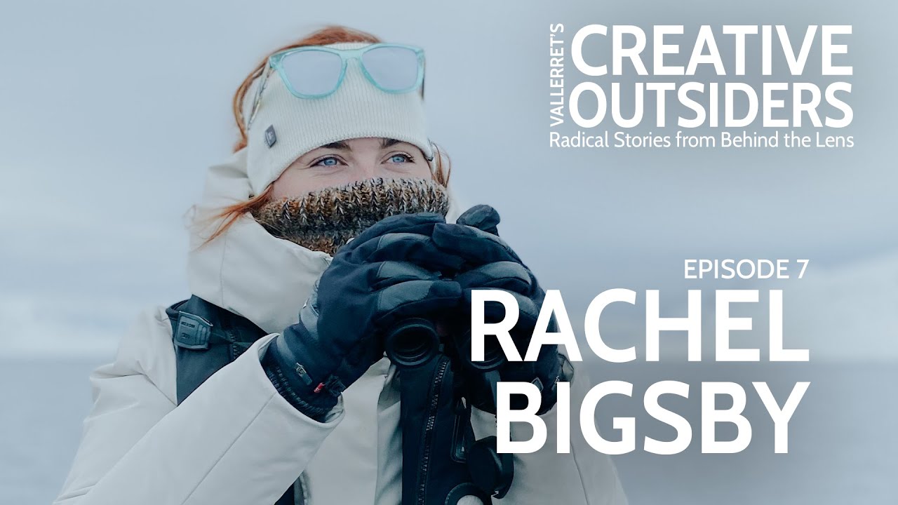 Rachel Bigsby: When Seabirds Mean More Than Beautiful Images | Vallerret's Creative Outsiders Ep 7