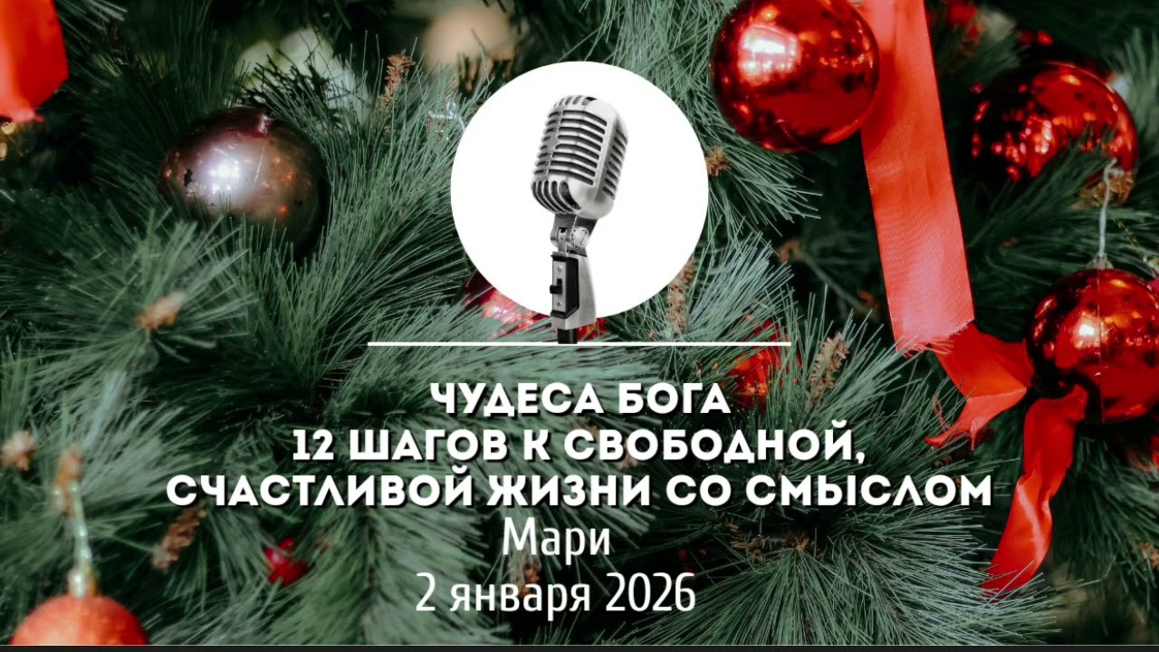 Спикерская Новогоднего марафона АНЗ «Чудеса Бога: 12 шагов к свободной, счастливой жизни со смыслом»