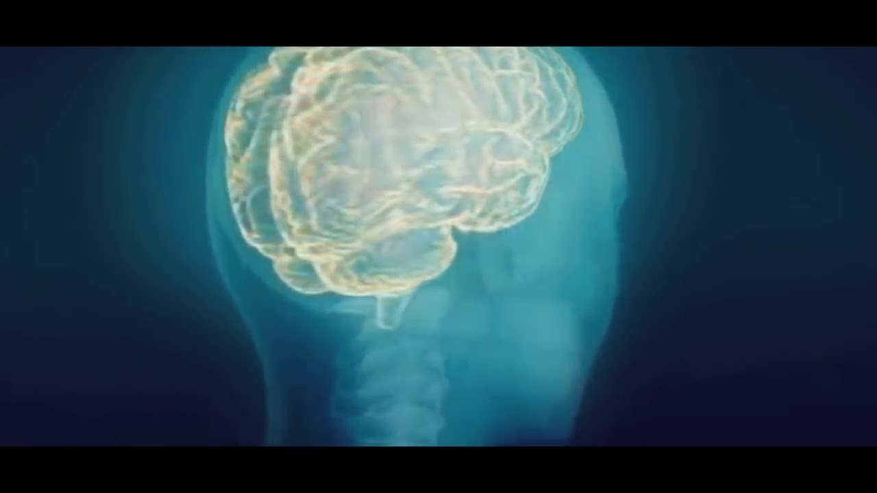 Should we be afraid? (2018-2019) Conspiracy Discovery