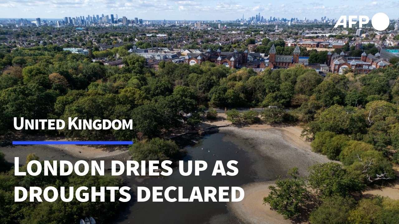 UK drought bakes London pond as new heatwave builds | AFP